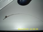 20100503_01.jpg