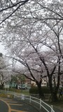 20120411_01.jpg