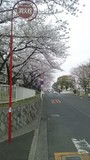 20120411_03.jpg