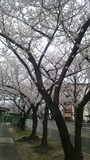 20120411_04.jpg